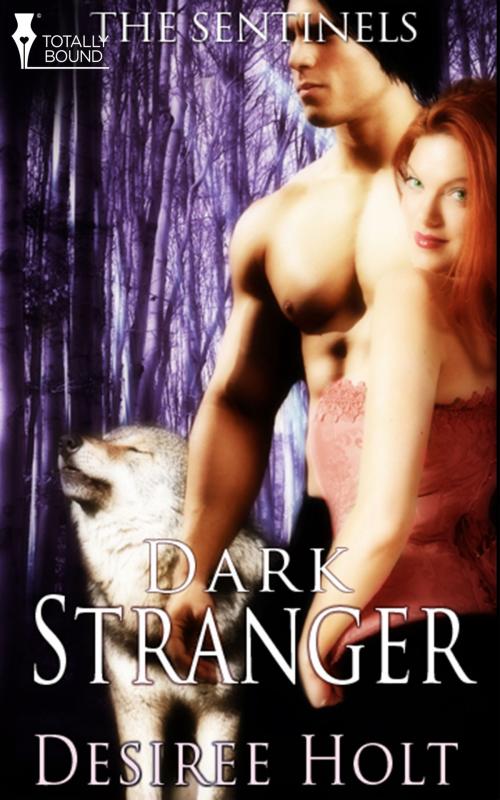 Cover of the book Dark Stranger by Desiree Holt, Totally Entwined Group Ltd