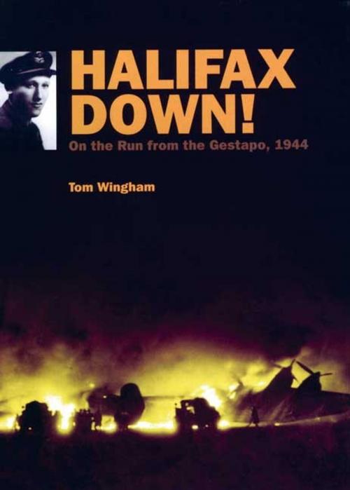 Cover of the book Halifax Down! by Tom Wingham, Grub Street Publishing
