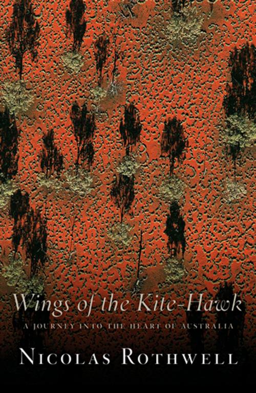 Cover of the book Wings of the Kite-Hawk by Nicolas Rothwell, Schwartz Publishing Pty. Ltd