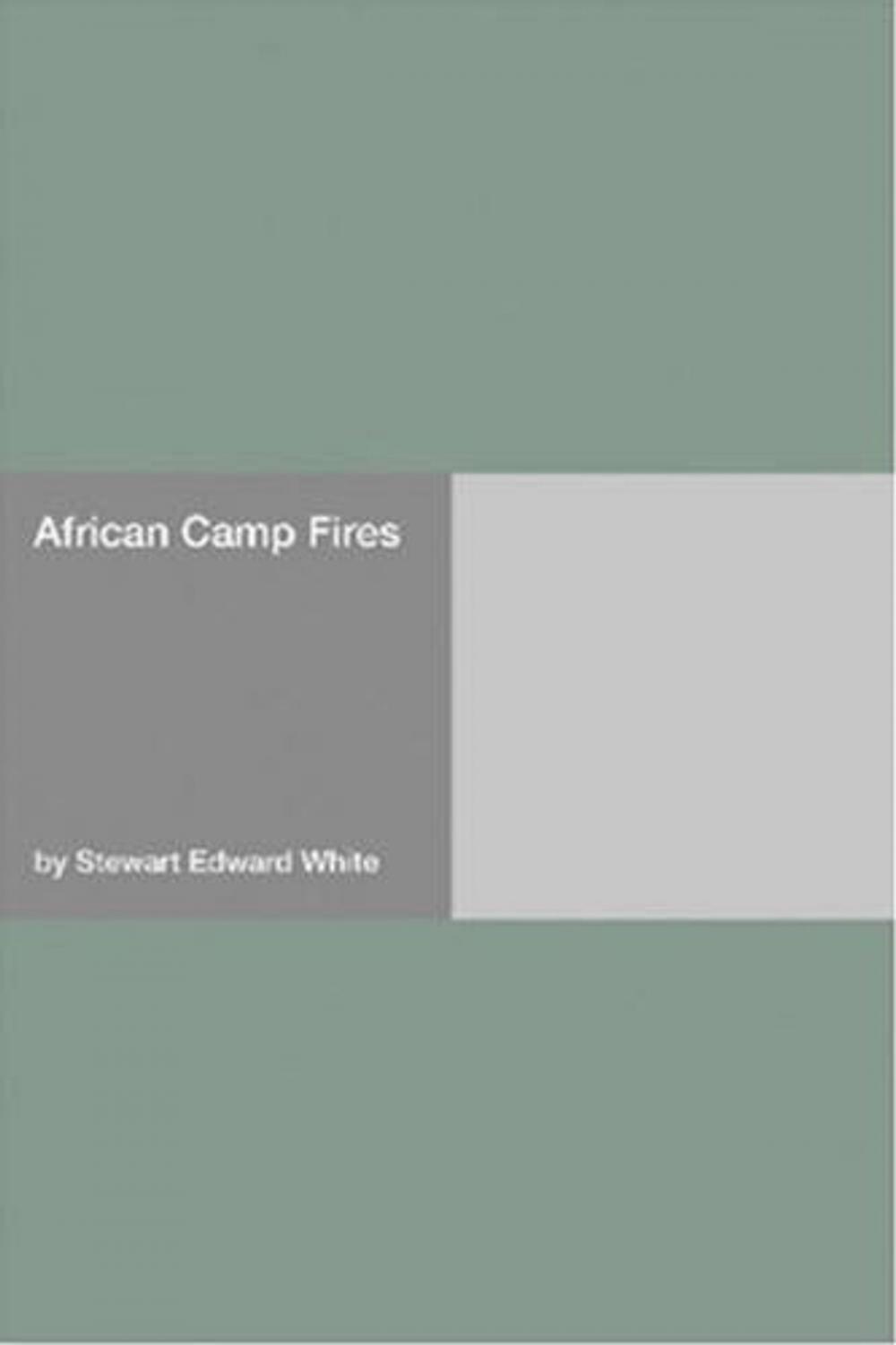 Big bigCover of African Camp Fires