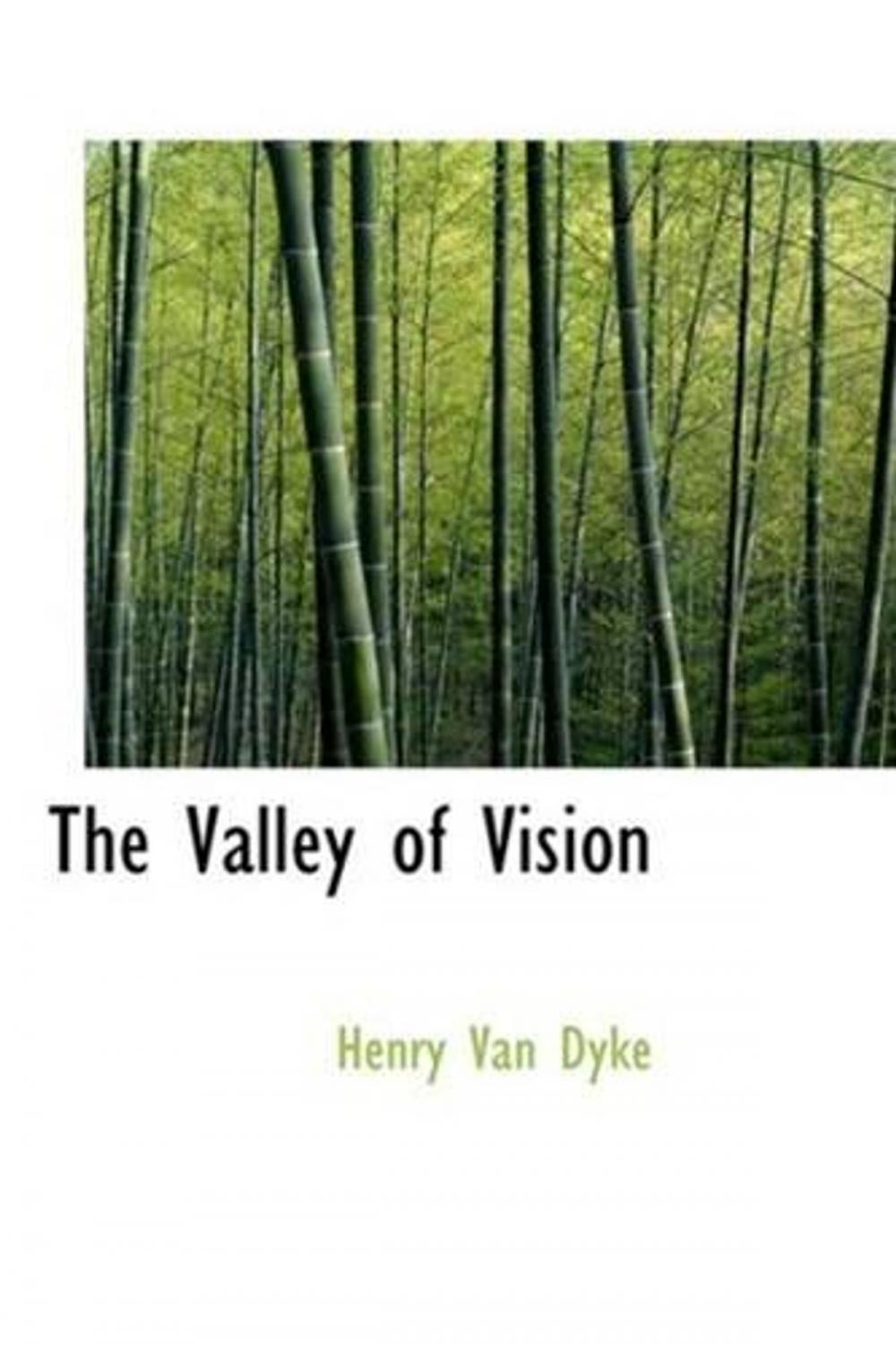 Big bigCover of The Valley Of Vision