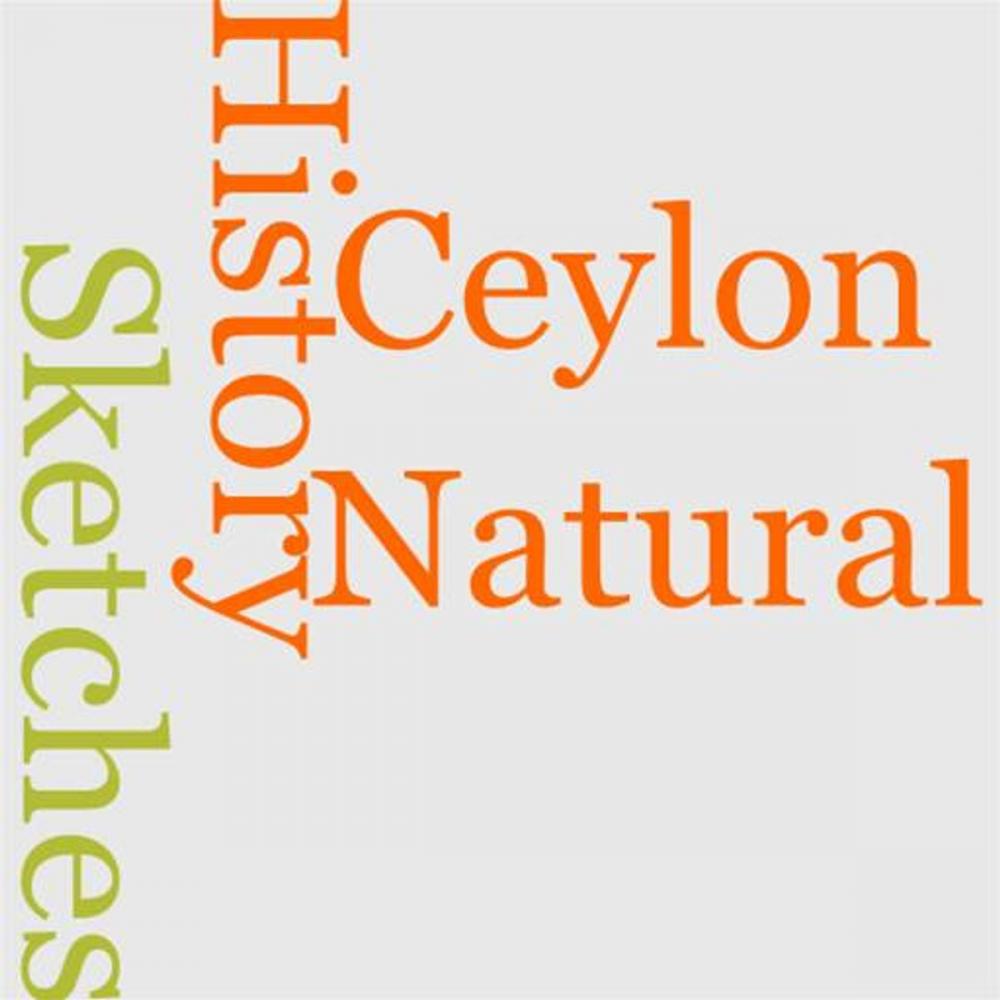 Big bigCover of Sketches Of Natural History Of Ceylon