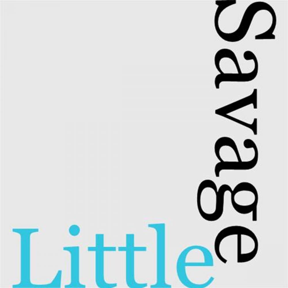 Big bigCover of The Little Savage