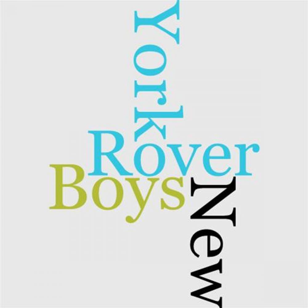 Big bigCover of The Rover Boys In New York
