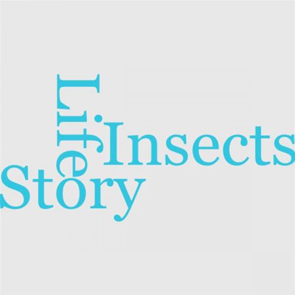 Big bigCover of The Life-Story Of Insects