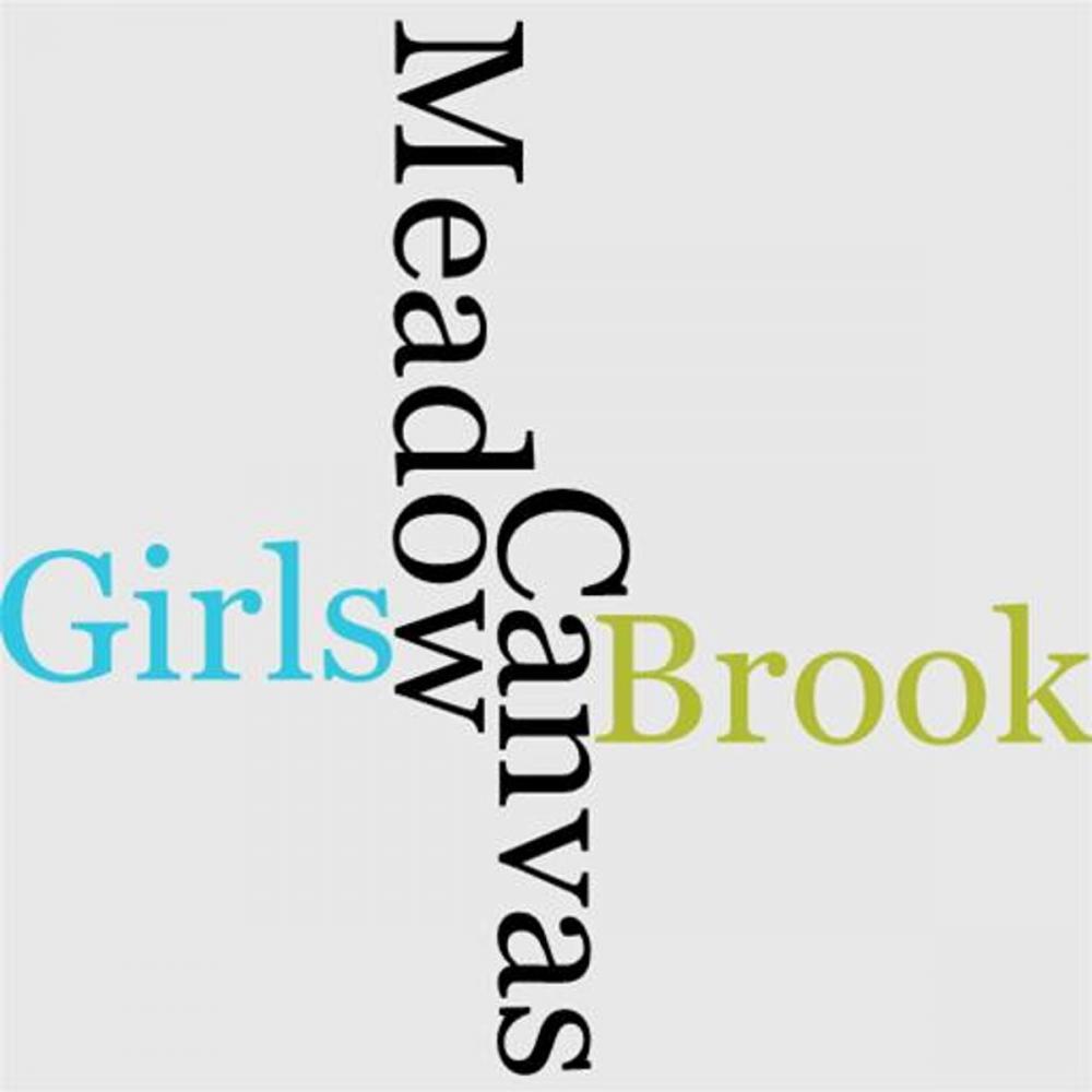 Big bigCover of The Meadow-Brook Girls Under Canvas