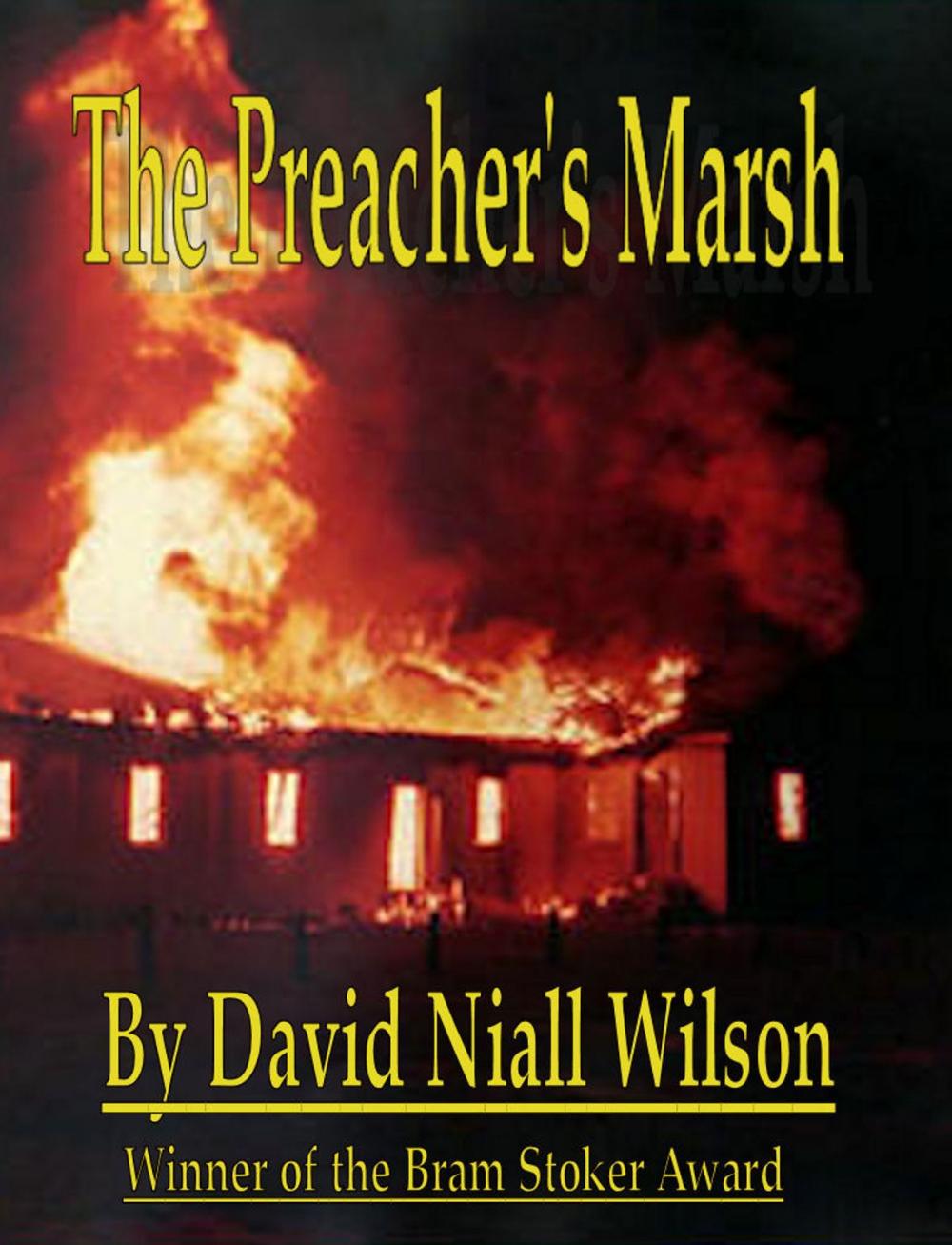 Big bigCover of The Preacher's Marsh