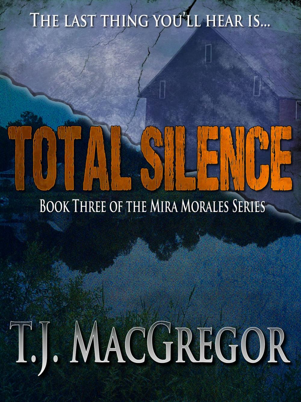 Big bigCover of Total Silence