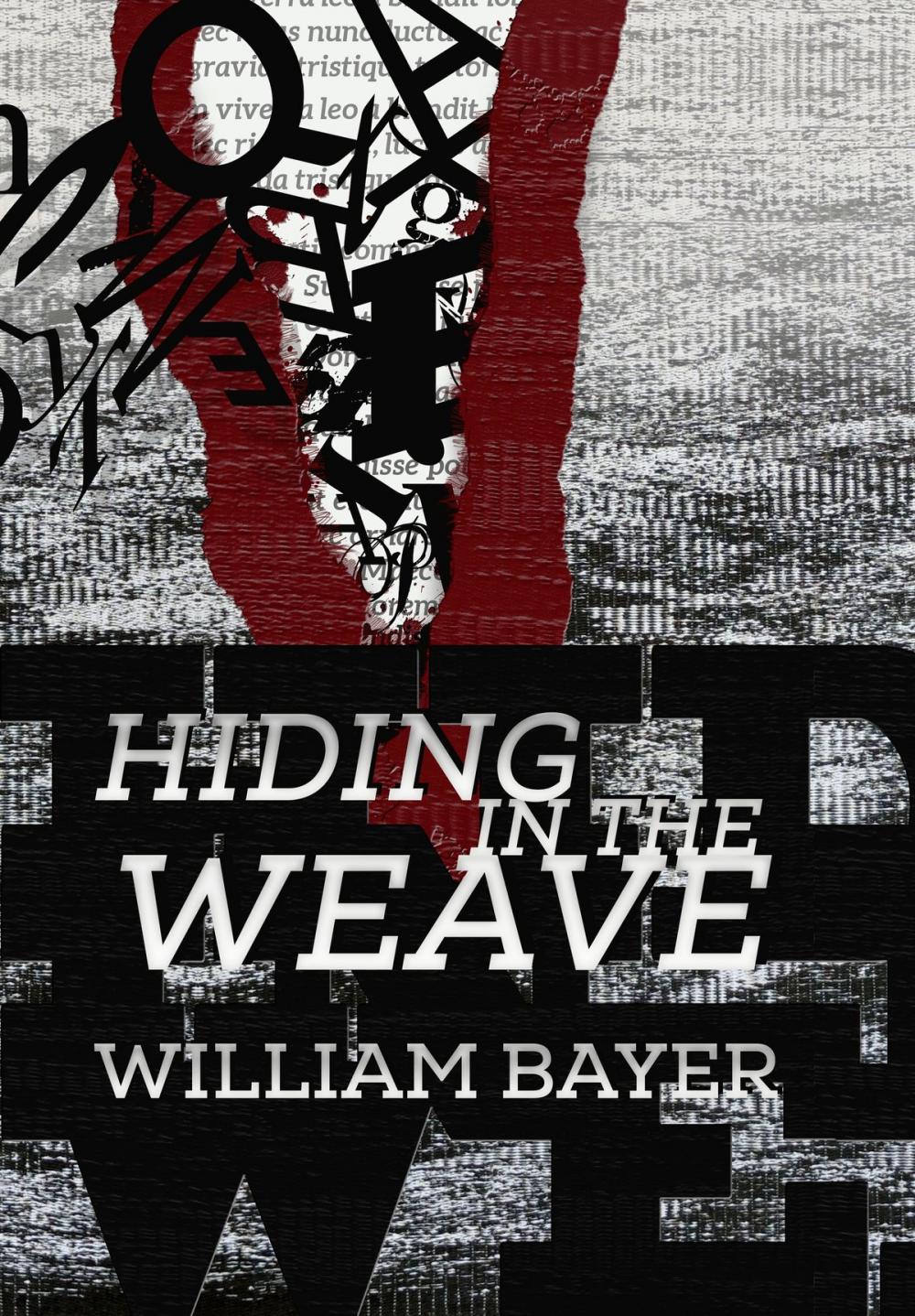 Big bigCover of Hiding in the Weave