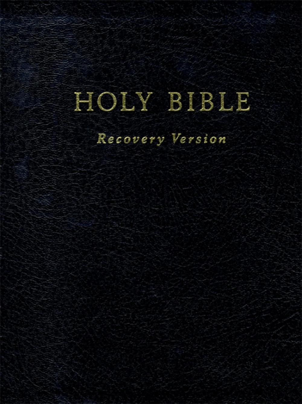 Big bigCover of Text Only Holy Bible Recovery Version