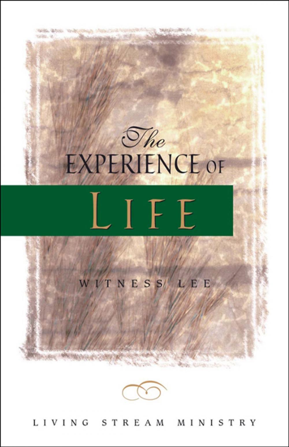 Big bigCover of The Experience of Life