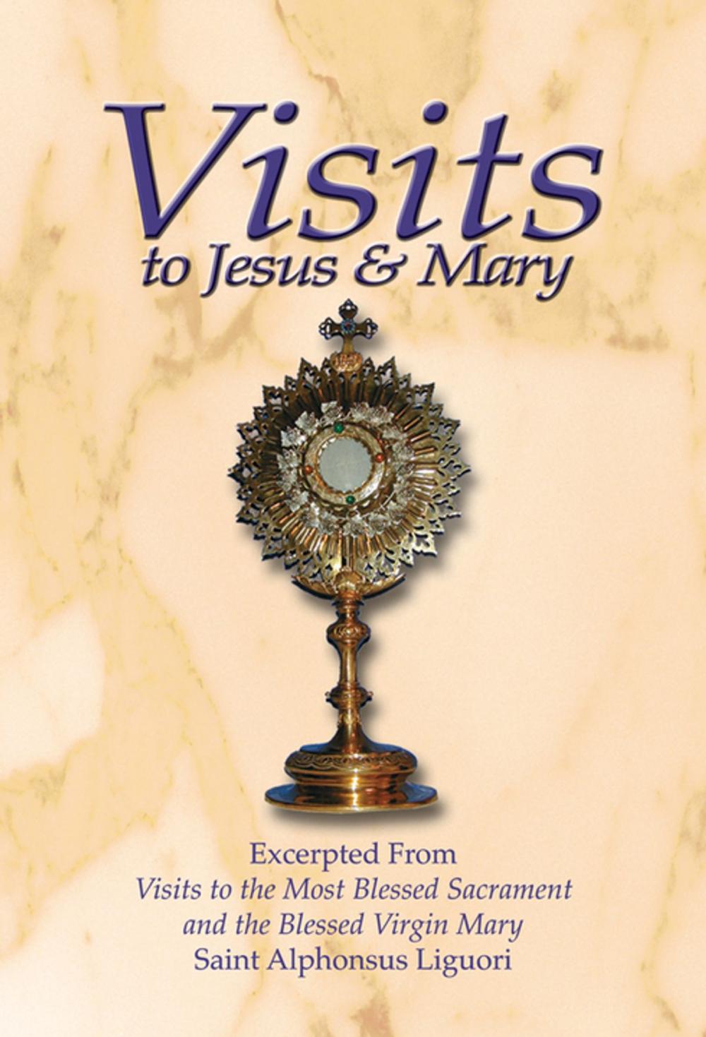 Big bigCover of Visits to Jesus and Mary
