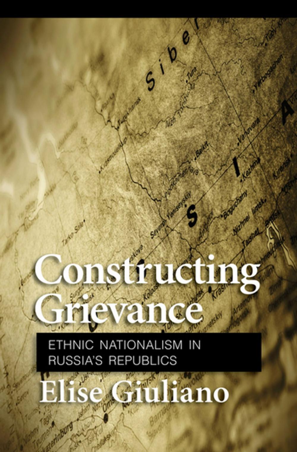 Big bigCover of Constructing Grievance