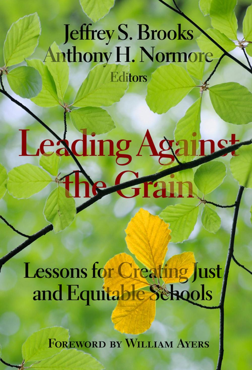 Big bigCover of Leading Against the Grain