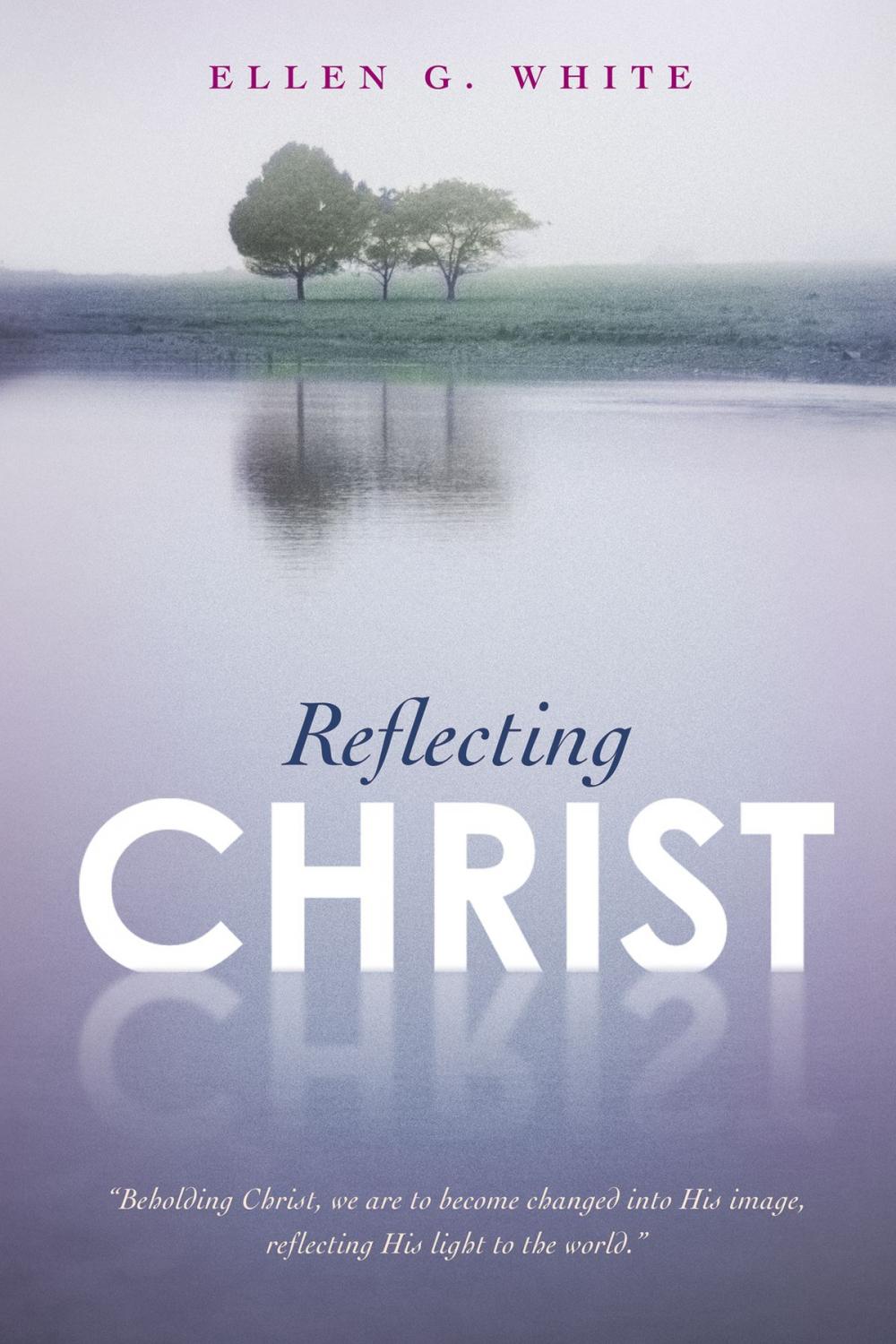 Big bigCover of Reflecting Christ