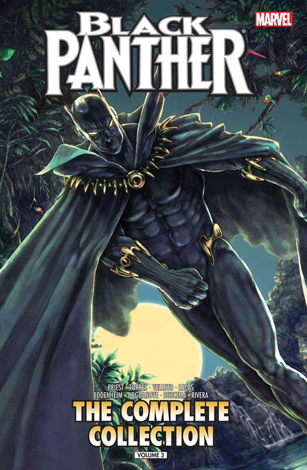 Big bigCover of Black Panther By Christopher Priest