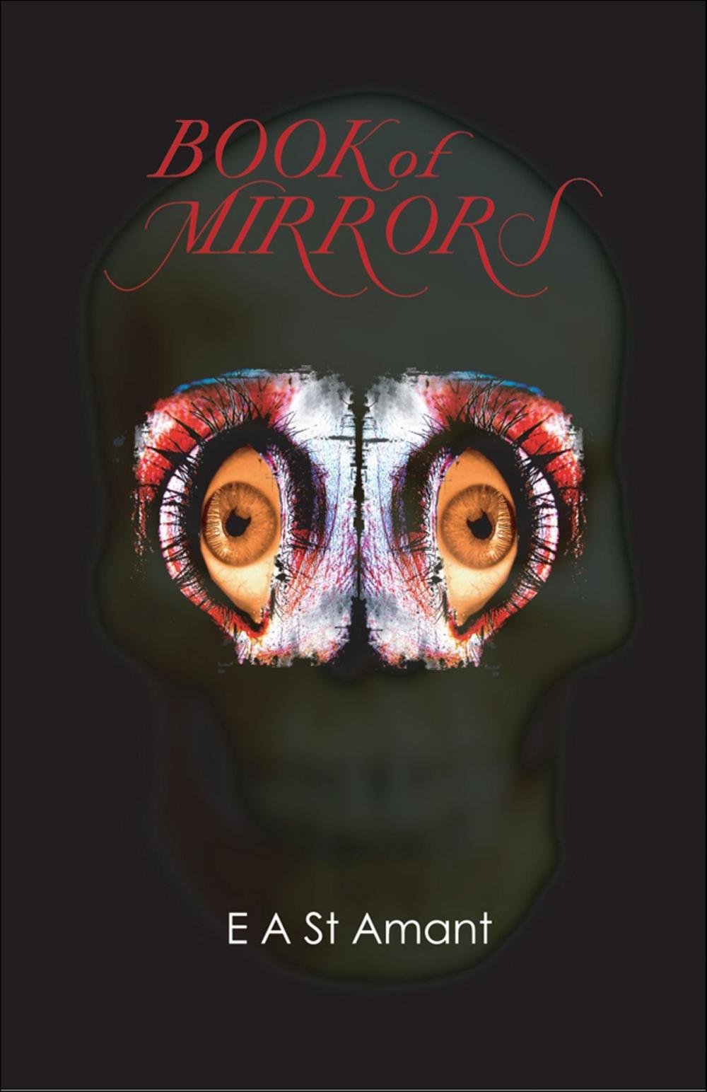 Big bigCover of Book of Mirrors