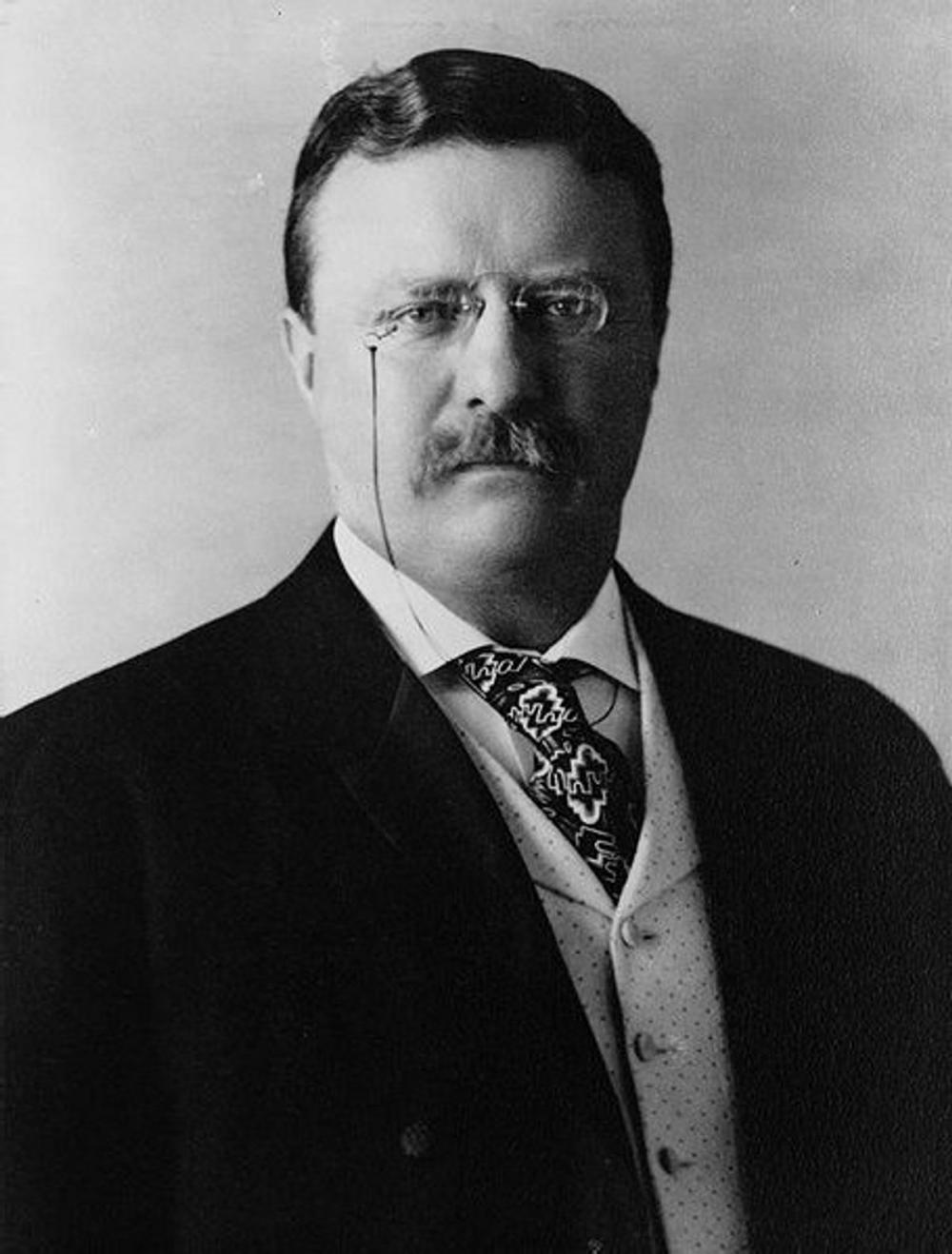 Big bigCover of Theodore Roosevelt: an Autobiography