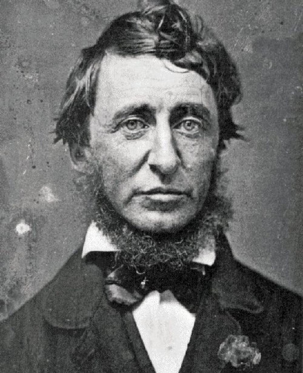 Big bigCover of Thoreau: 5 books and 4 essays