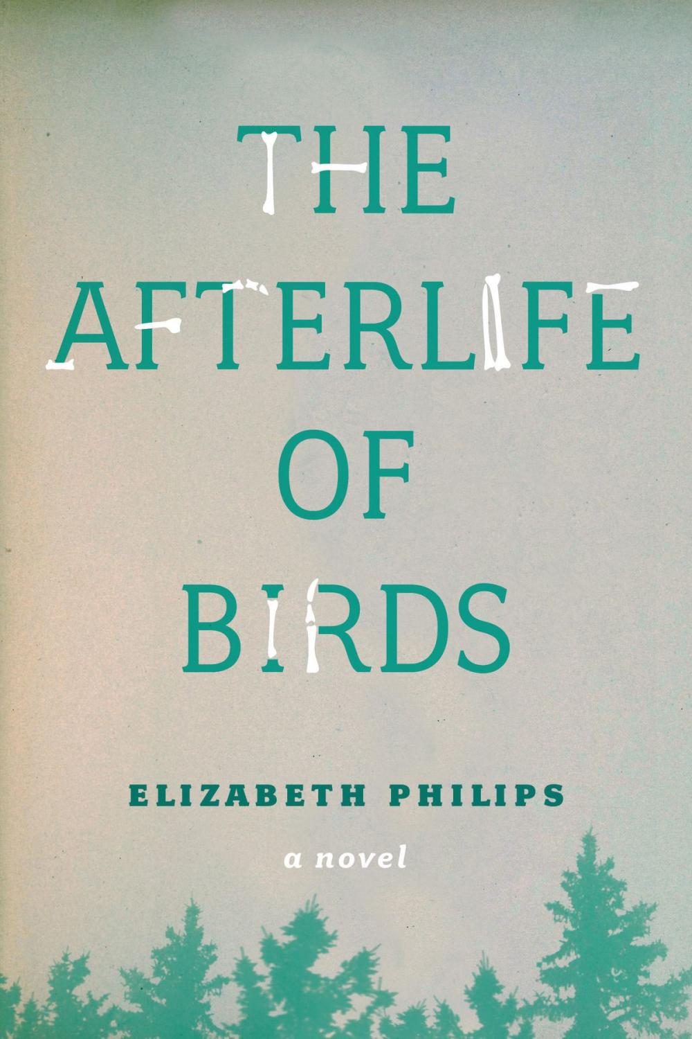 Big bigCover of The Afterlife of Birds