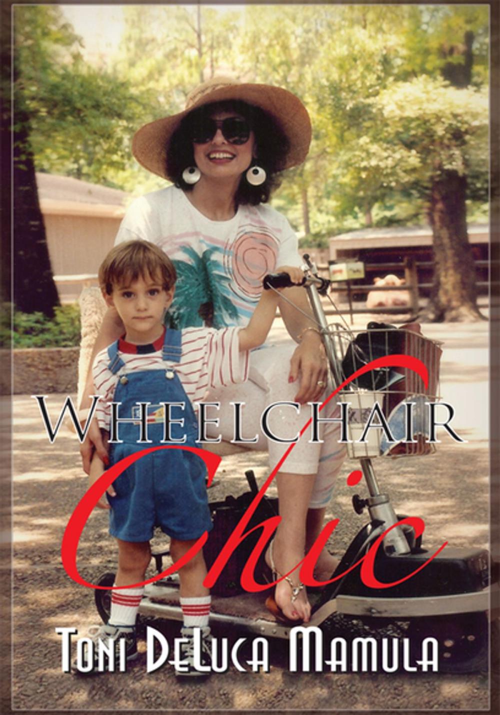 Big bigCover of Wheelchair Chic