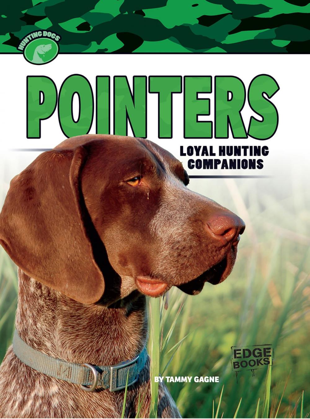 Big bigCover of Pointers