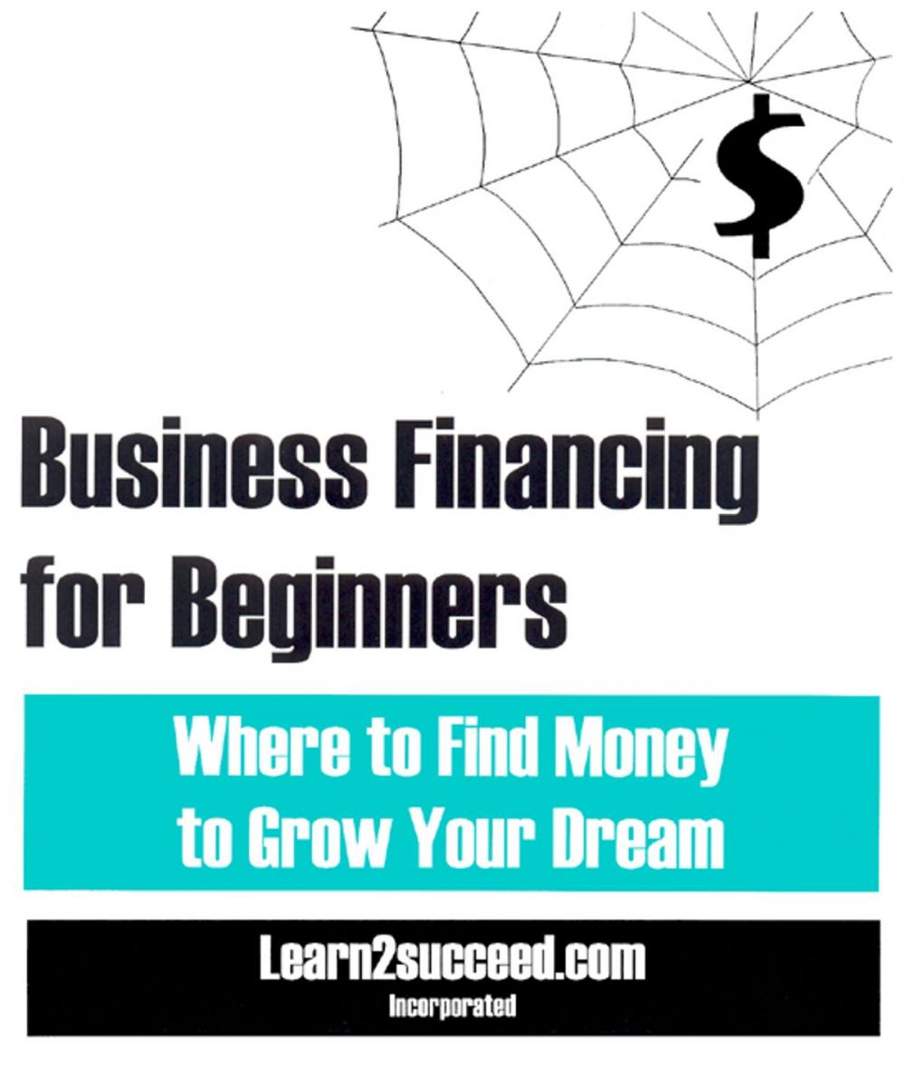 Big bigCover of Business Financing for Beginners