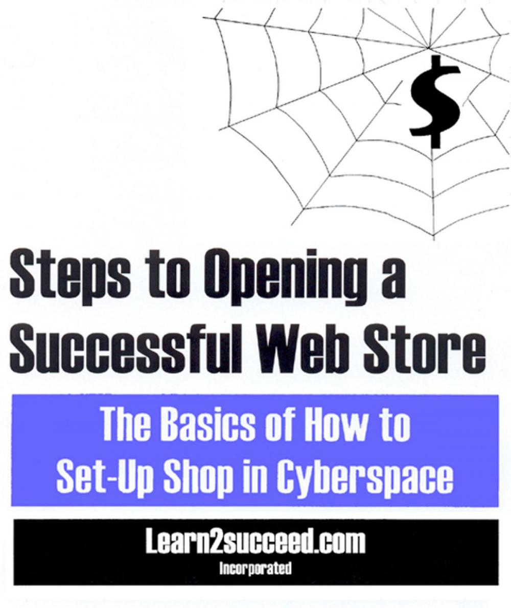 Big bigCover of Steps to Opening a Successful Web Store