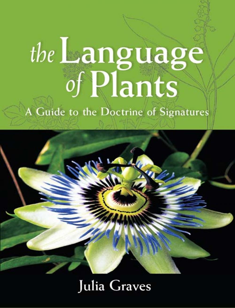 Big bigCover of The Language of Plants