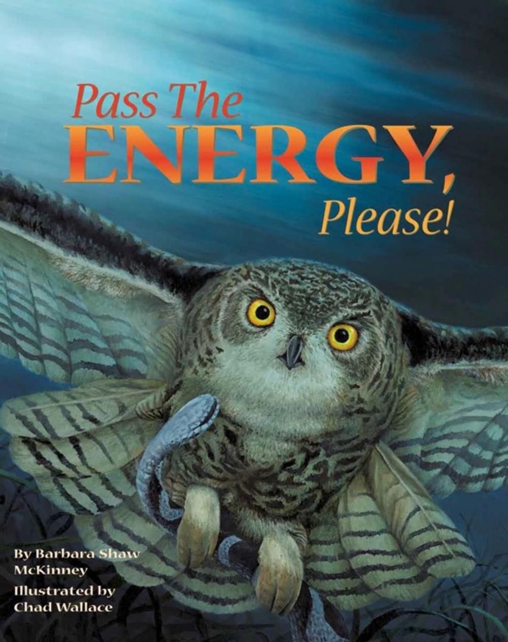Big bigCover of Pass the Energy, Please!