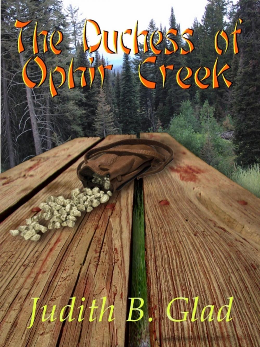 Big bigCover of The Duchess of Ophir Creek