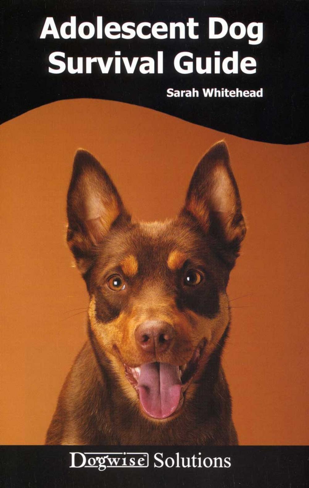 Big bigCover of ADOLESCENT DOG SURVIVAL GUIDE