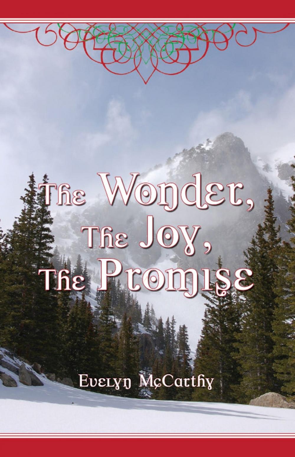 Big bigCover of The Wonder, The Joy, The Promise