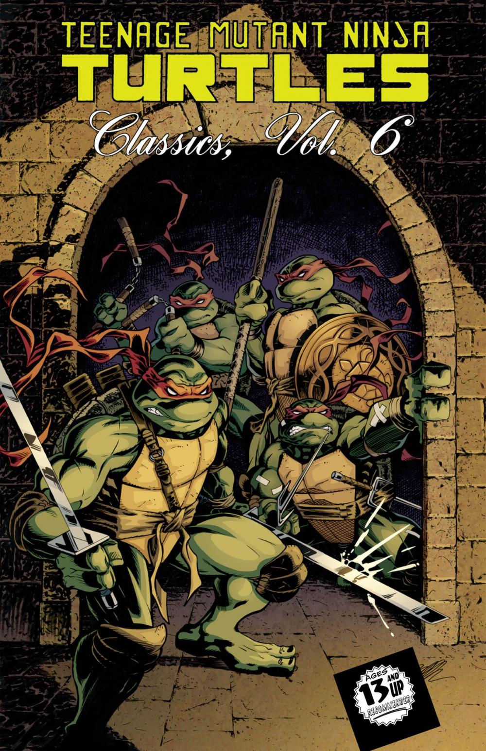 Big bigCover of Teenage Mutant Ninja Turtles Classics, Vol. 6