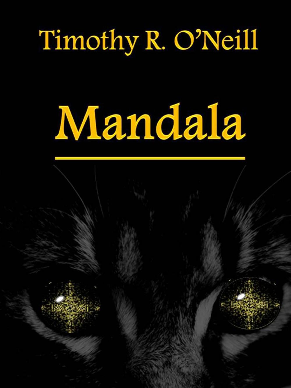 Big bigCover of Mandala