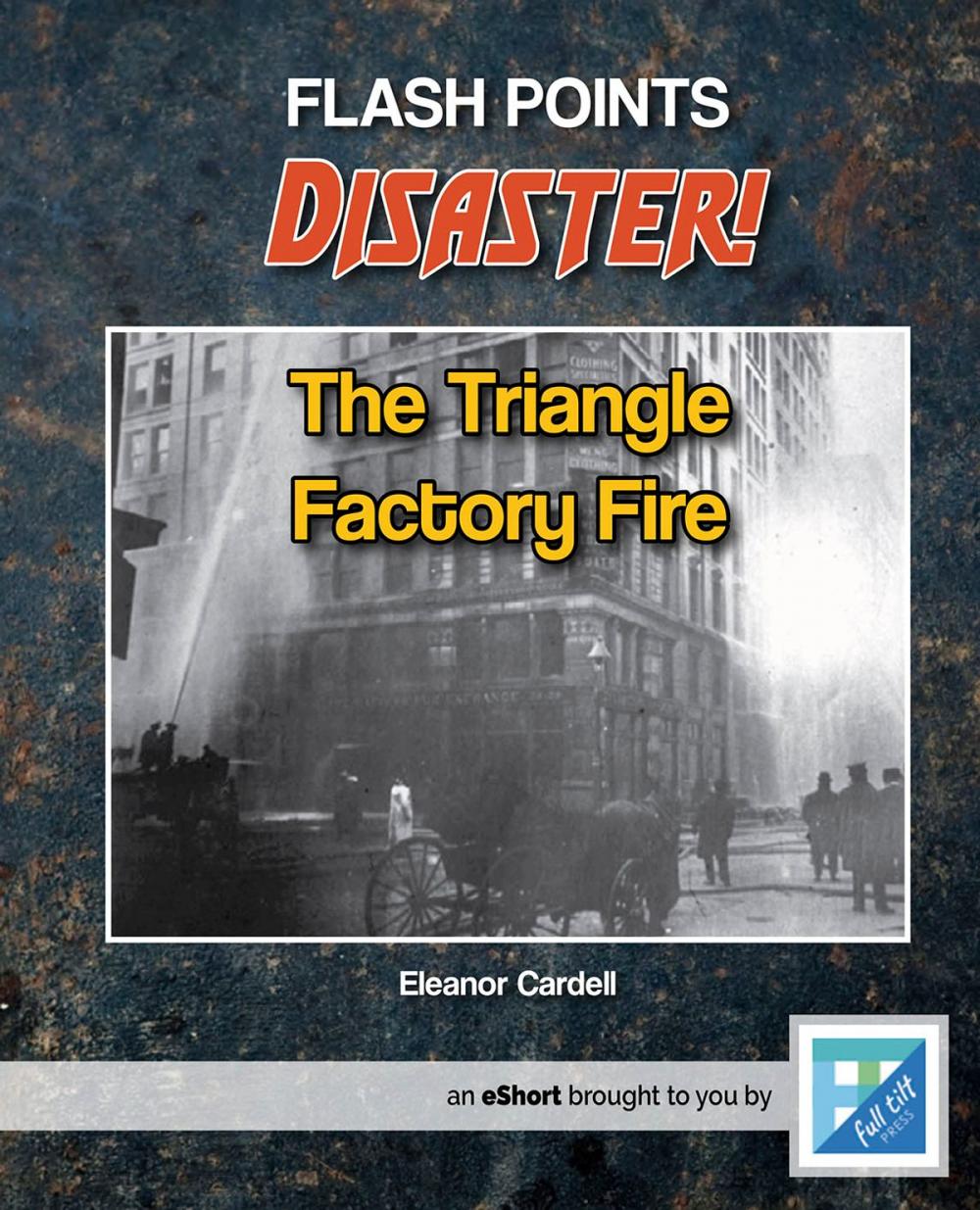 Big bigCover of The Triangle Factory Fire