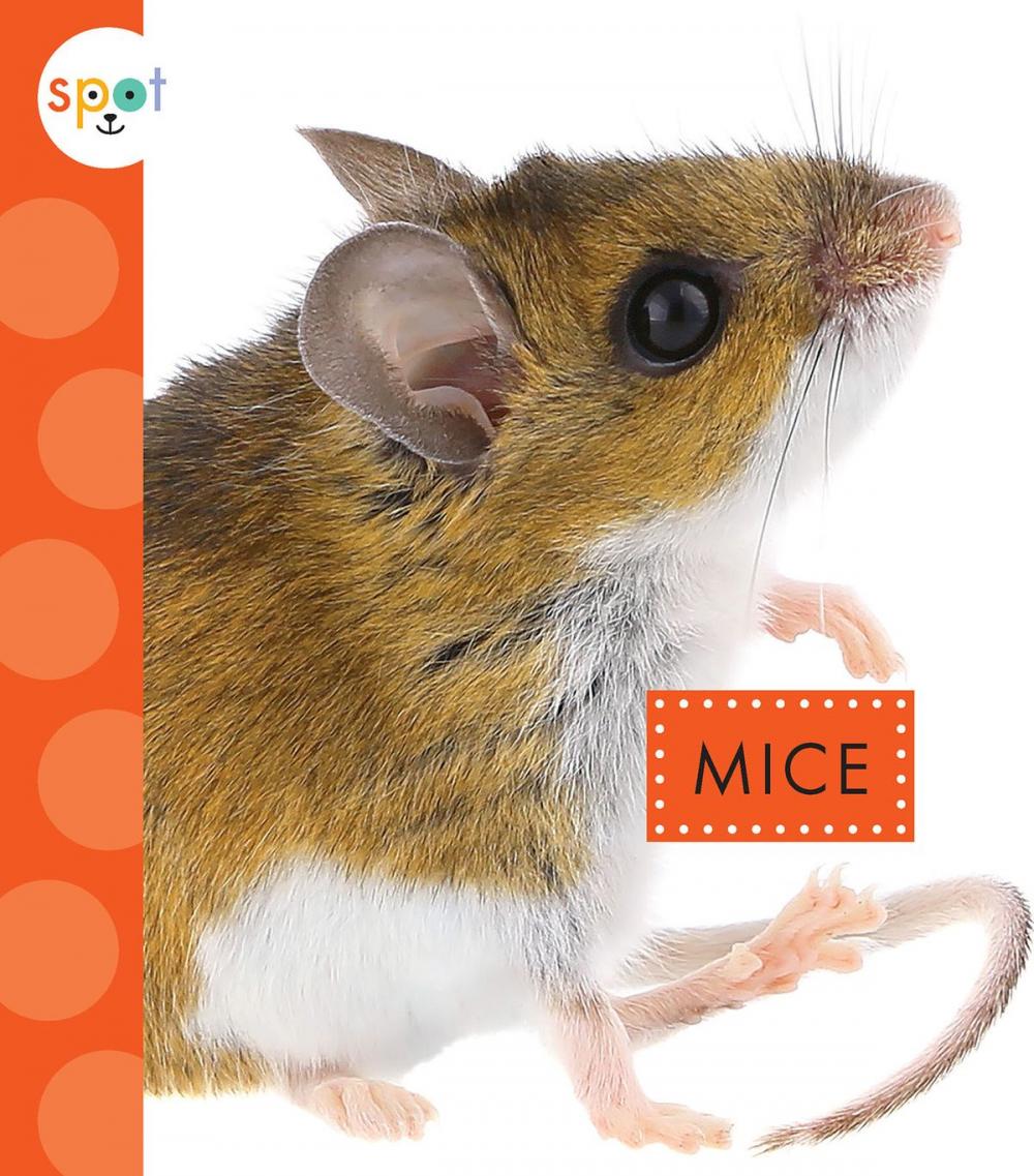 Big bigCover of Mice