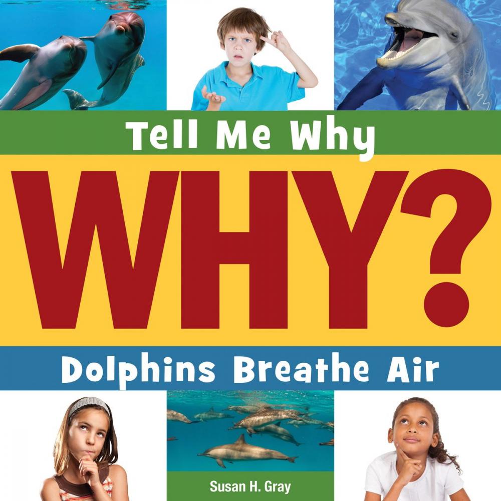 Big bigCover of Dolphins Breathe Air