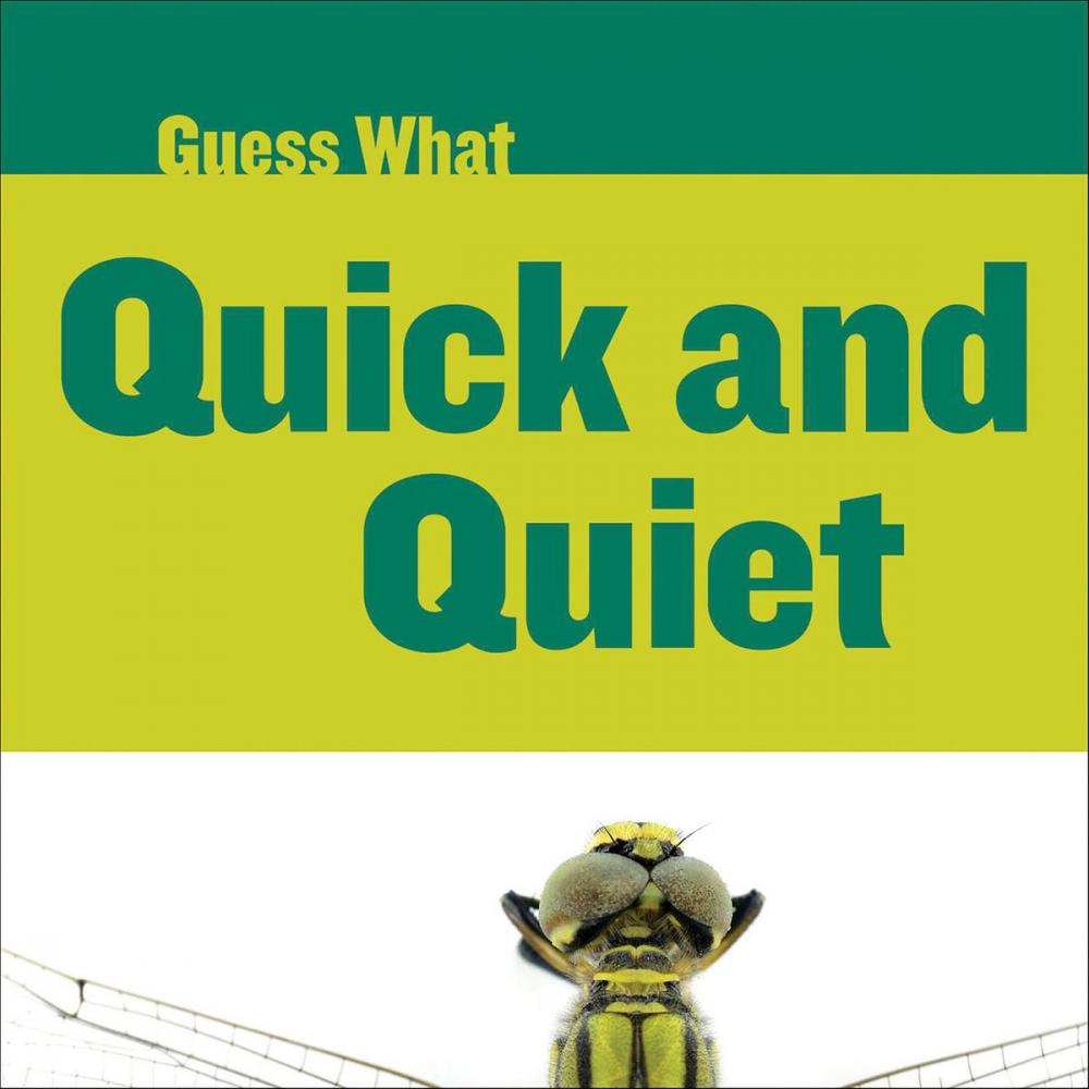Big bigCover of Quick and Quiet: Dragonfly