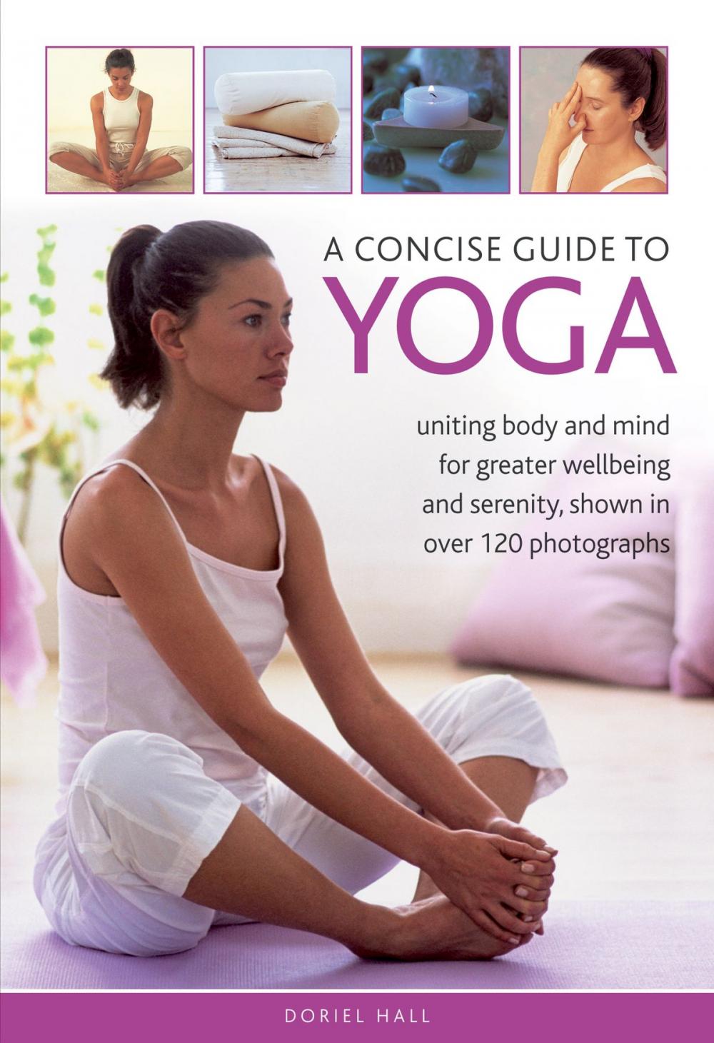 Big bigCover of A Concise Guide to Yoga