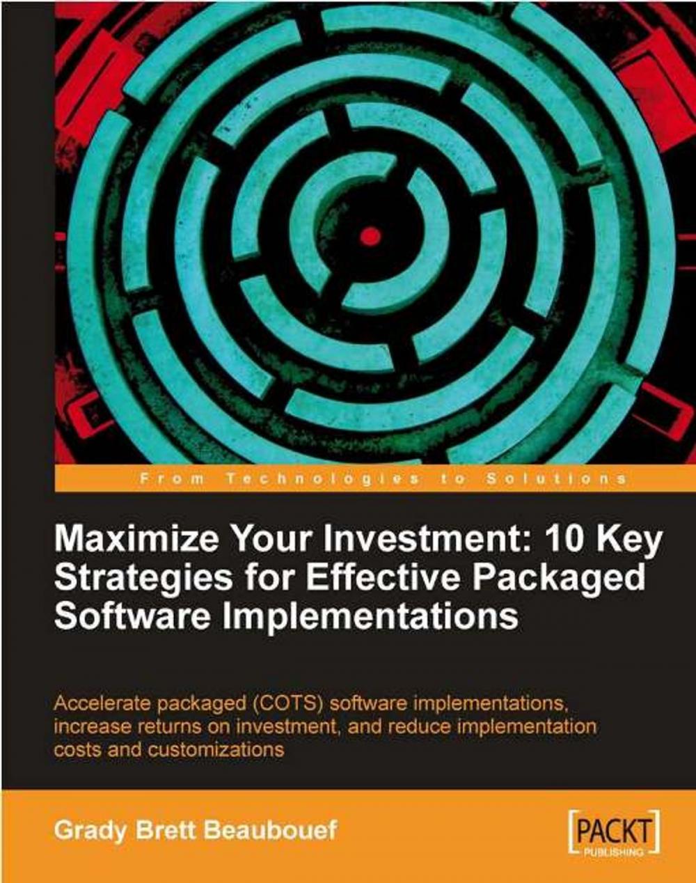 Big bigCover of Maximize Your Investment: 10 Key Strategies for Effective Packaged Software Implementations