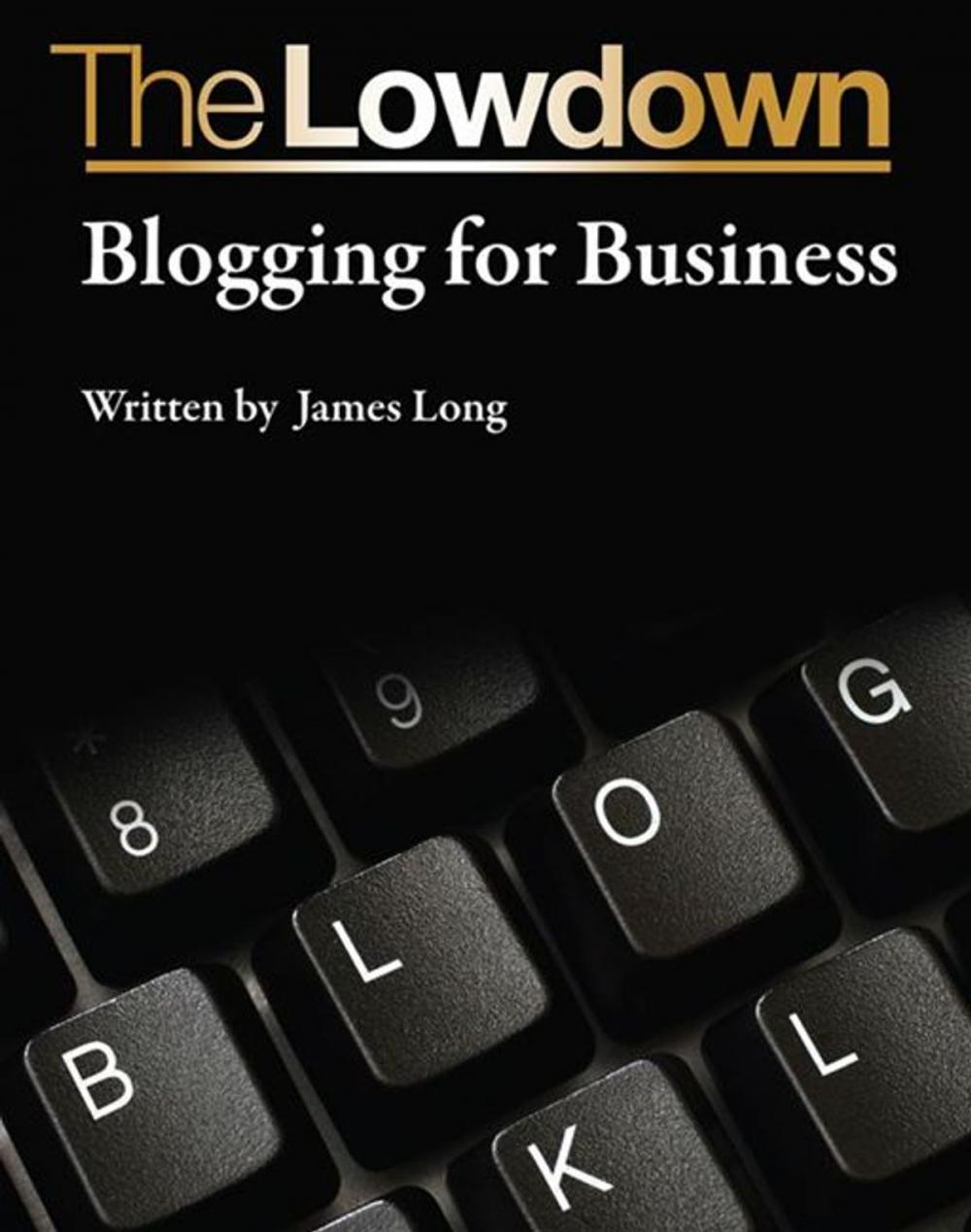 Big bigCover of The Lowdown: Blogging for Business