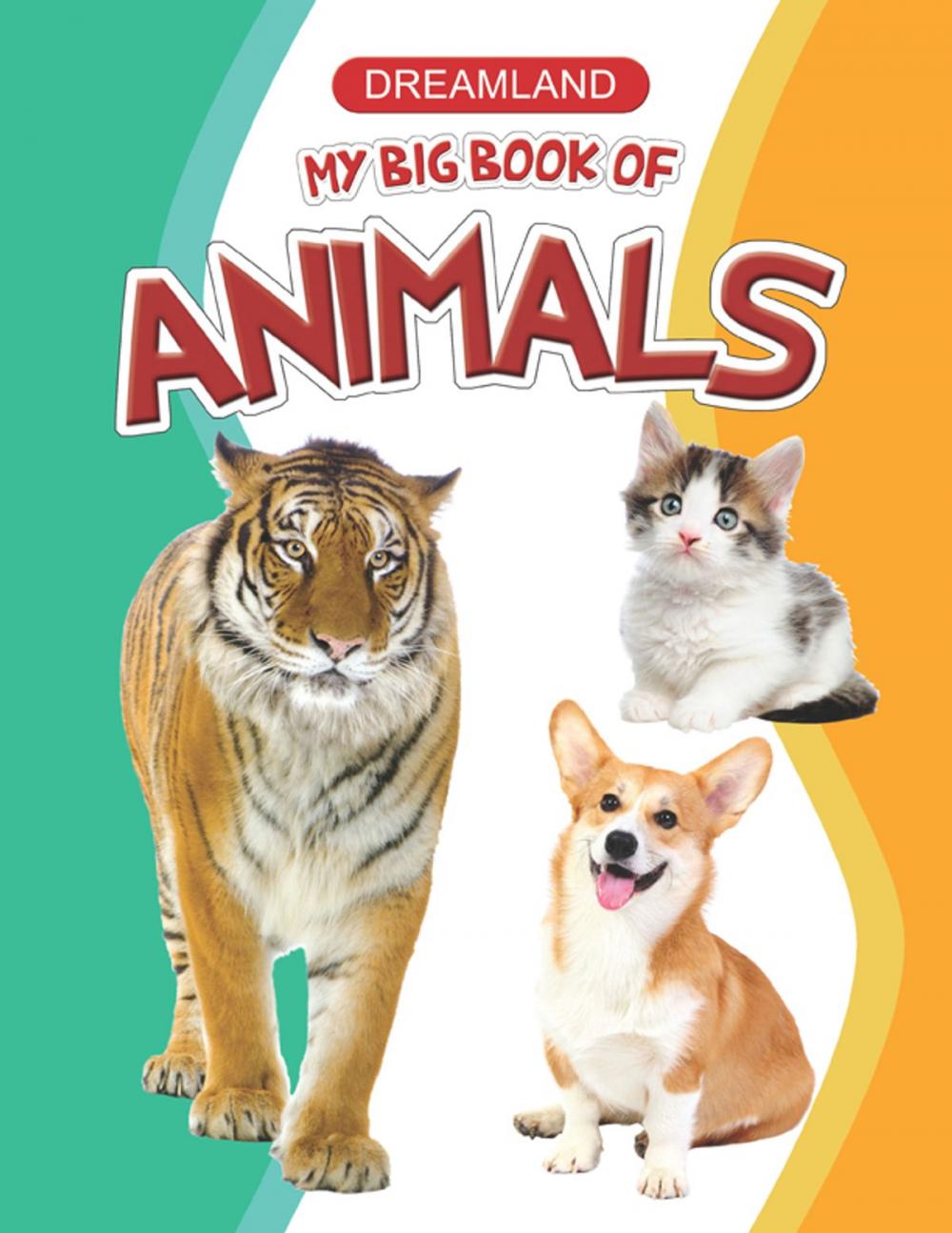 Big bigCover of My Big Book of Animals