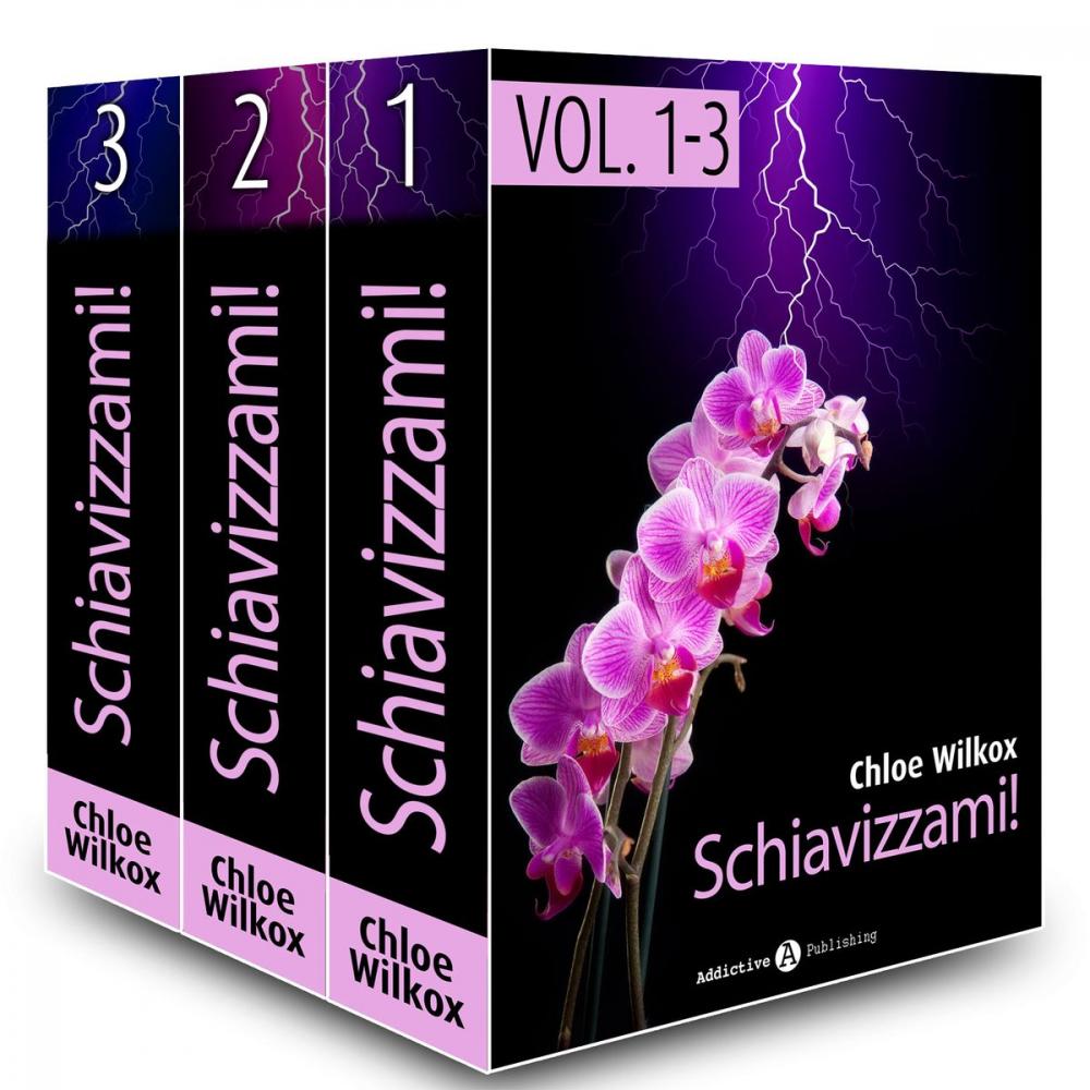 Big bigCover of Schiavizzami! - vol.1-3