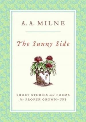 Cover of the book The Sunny Side by Bernard Edward J. Capes