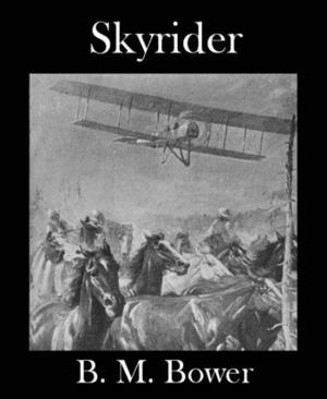 Cover of the book Skyrider by Edward Stratemeyer