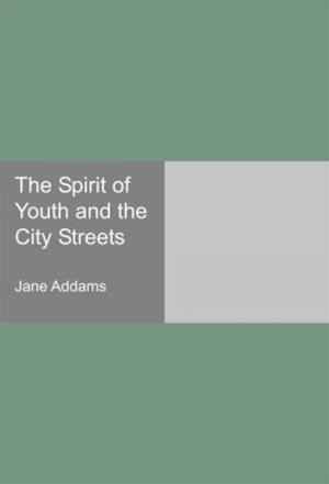 Cover of the book The Spirit Of Youth And The City Streets by Stanley J. Weyman