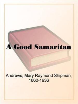 Book cover of A Good Samaritan