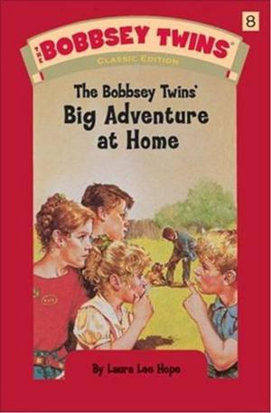 Book cover of The Bobbsey Twins At Home