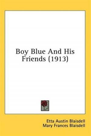 Book cover of Boy Blue And His Friends